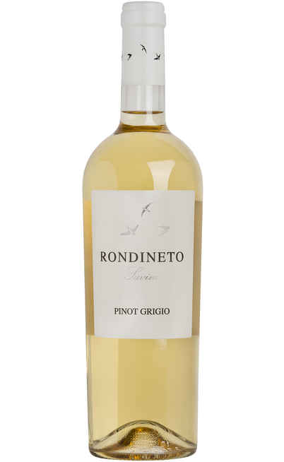 Pinot Gris "Rondineto" [Fattoria Giuseppe Savini]