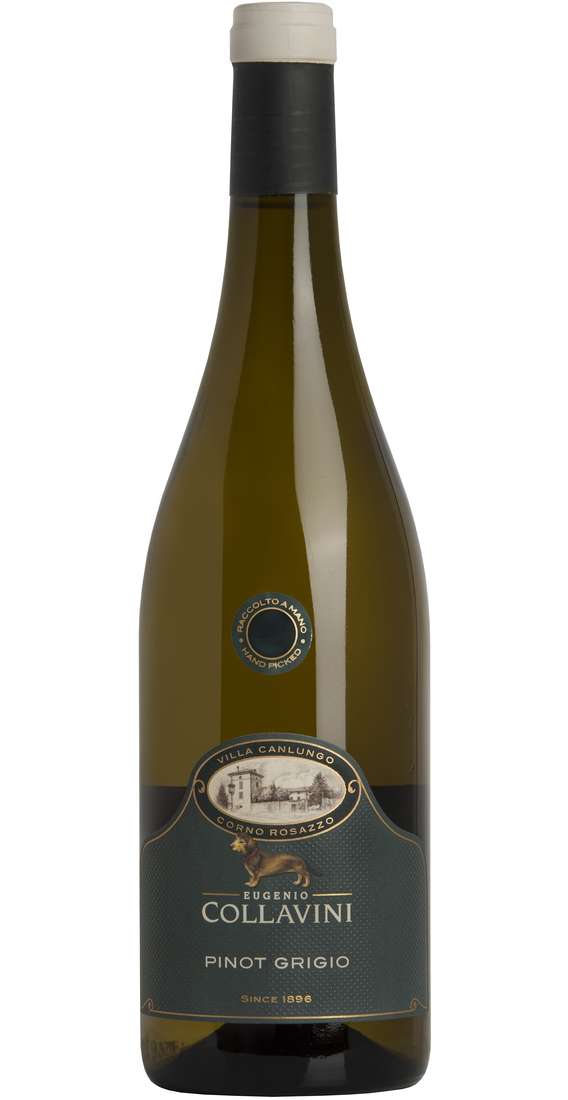 Pinot Gris "VILLA CANLUNGO" DOC