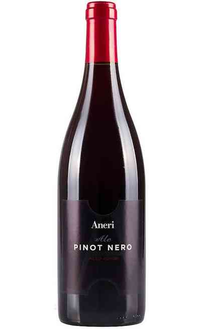 Pinot Nero "Ale" DOC