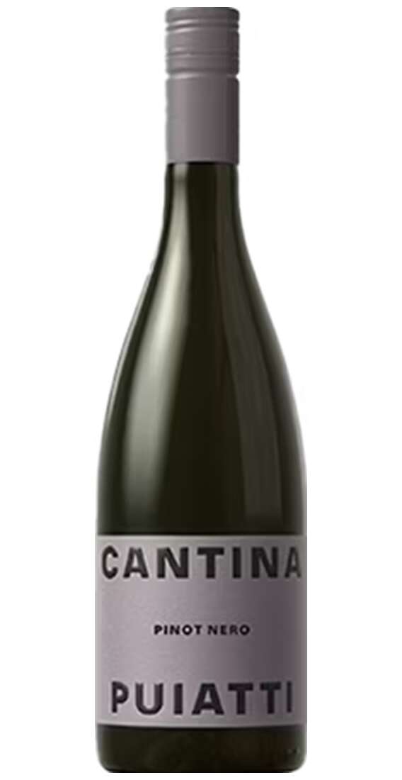 Pinot Nero DOC