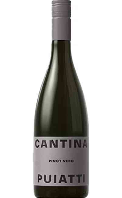 Pinot Nero DOC