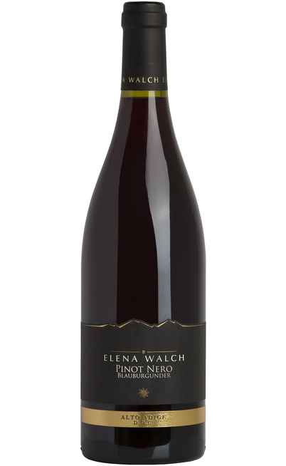 Pinot Nero DOC [Elena Walch ]