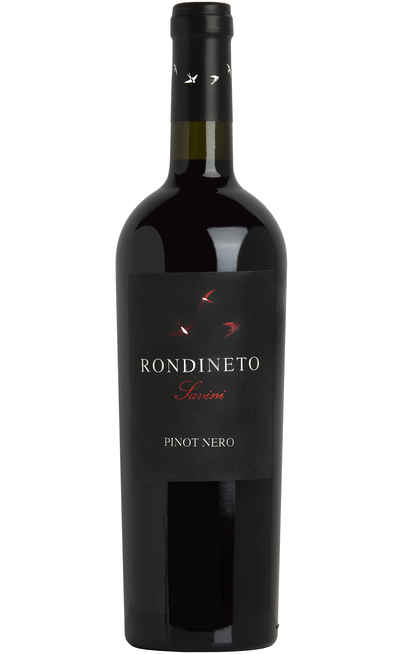 Pinot Noir „Rondineto“ [Fattoria Giuseppe Savini]