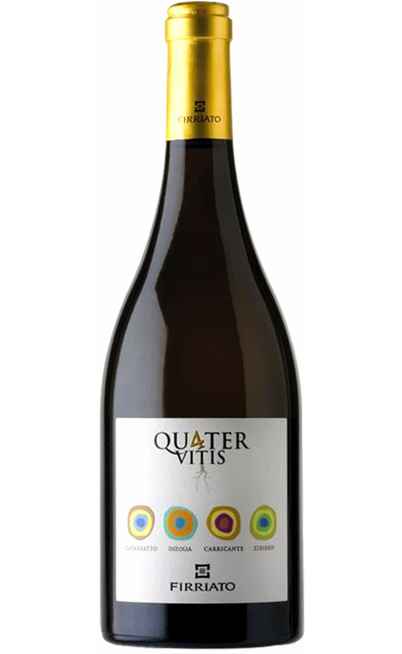 QUATER VITIS Bianco [FIRRIATO]