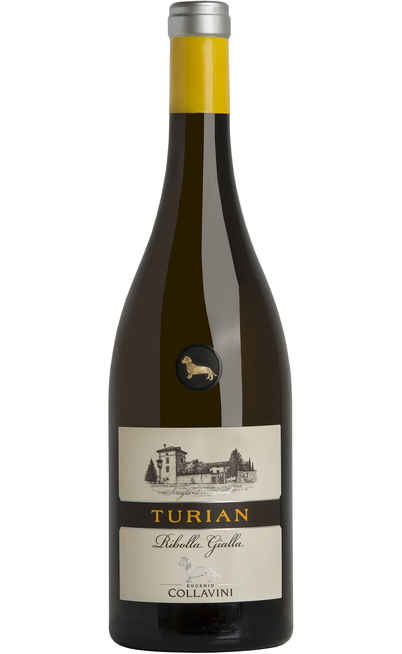 Ribolla Gialla "TURIAN" DOC [COLLAVINI]