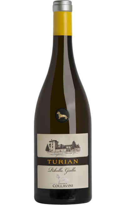 Ribolla Gialla "TURIAN" DOC