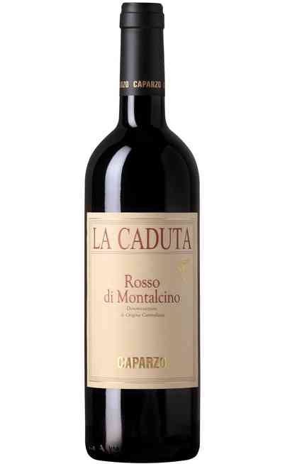 Rosso di Montalcino "LA CADUTA" DOC