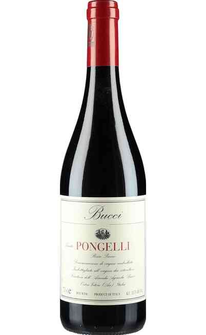 Rosso Piceno TENUTA PONGELLI DOC BIO