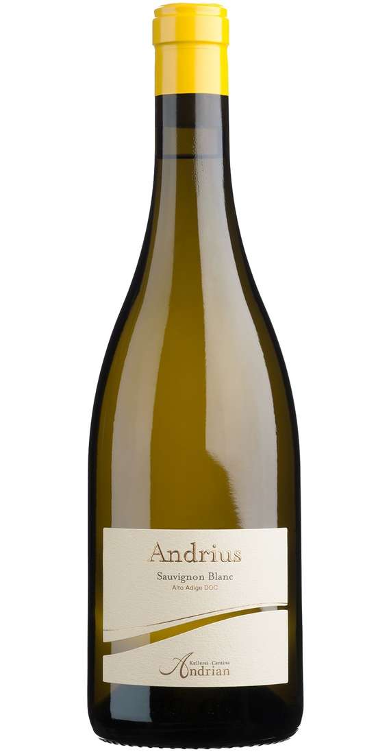 Sauvignon Blanc "Andrius" DOC