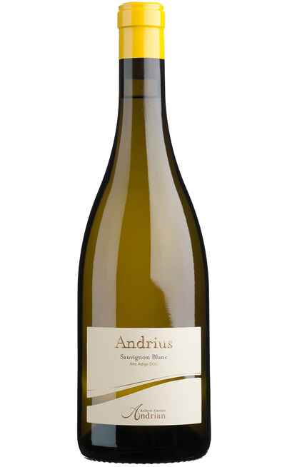 Sauvignon Blanc "Andrius" DOC [Andrian]