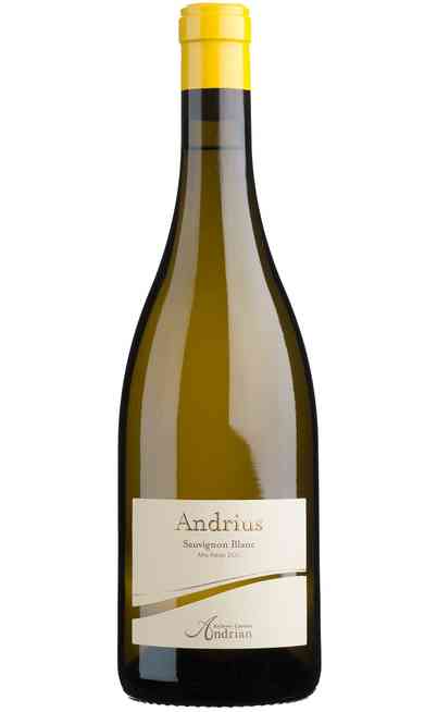 Sauvignon Blanc "Andrius" DOC