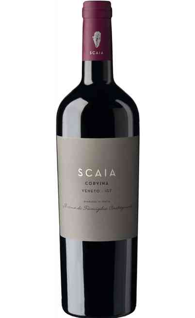 SCAIA Corvina