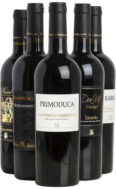 Selection 6 Apulian Wines [Mediterranea]