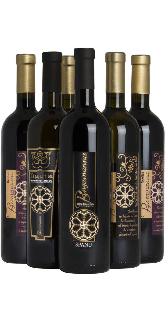 Selection 6 Sardinian Wines 
