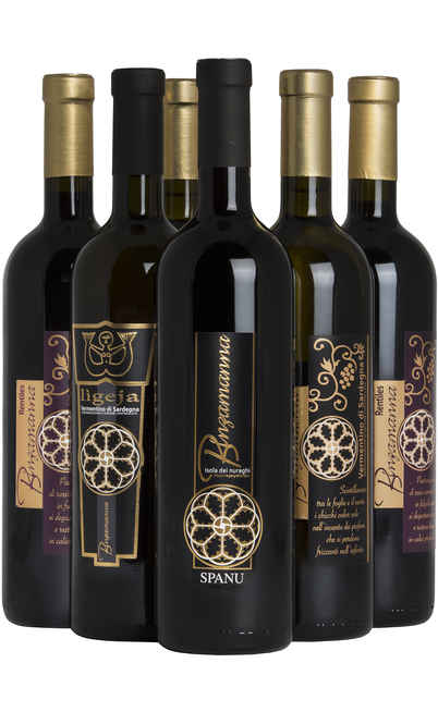 Selection 6 Sardinian Wines  [Binzamanna]