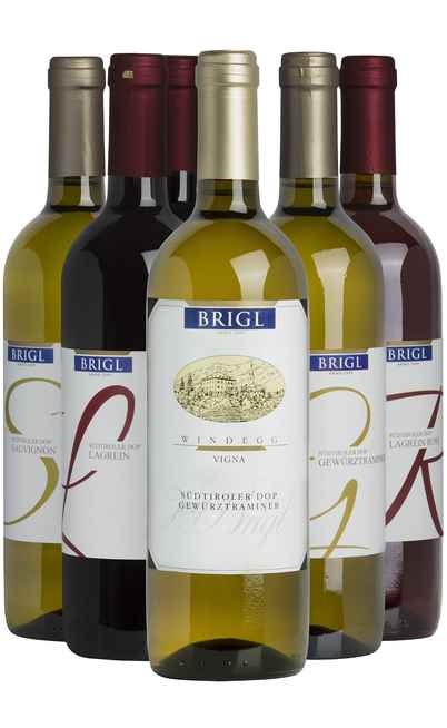 Selection 6 Trentino Wines [Brigl]