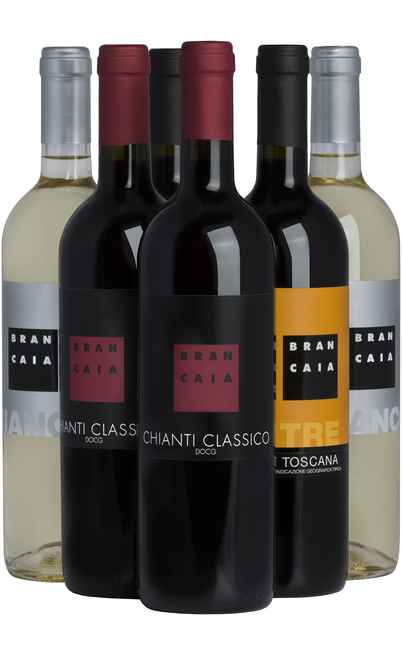 Selection 6 Tuscan Wines [BRANCAIA]