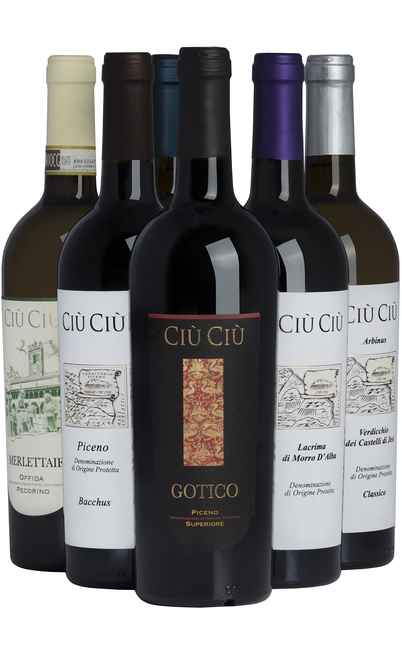 Selection 6 Wines of Marche [CIU CIU]