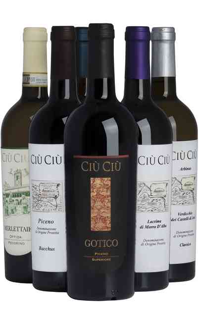 Selection 6 Wines of Marche