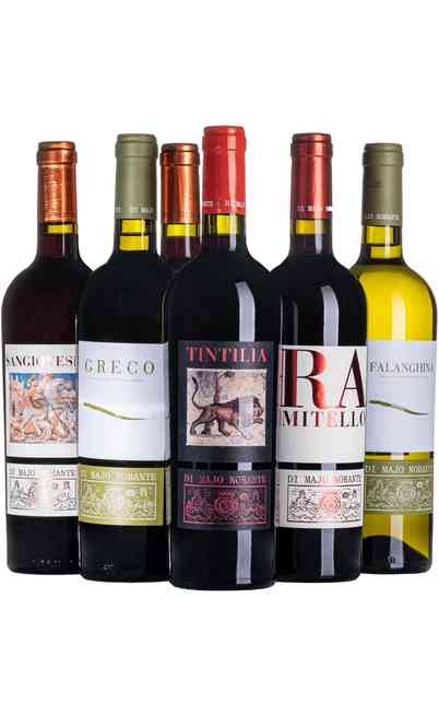 Selection 6 Wines of Molise