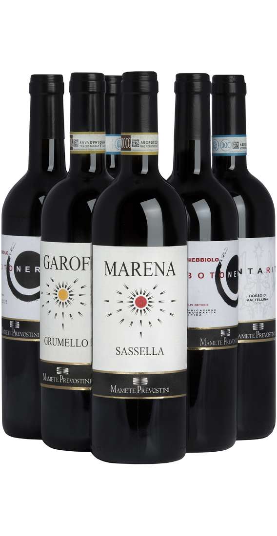 Selection 6 Wines of Valtellina 