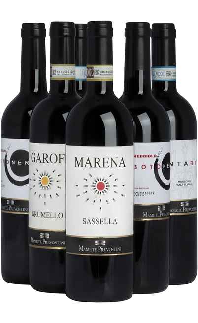 Selection 6 Wines of Valtellina  [Mamete Prevostini]