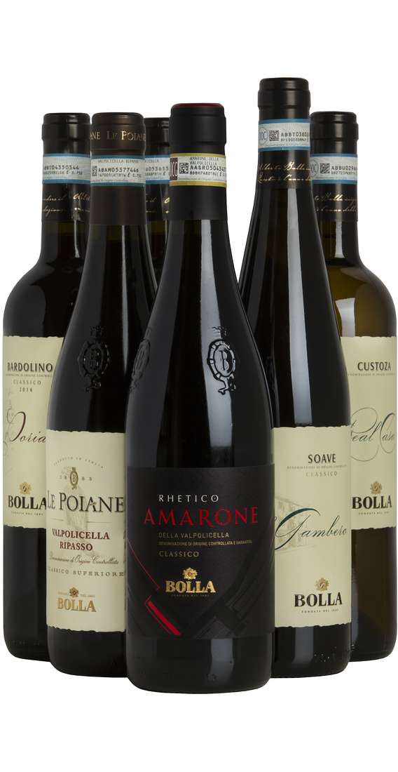 Selection 6 Wines of Veneto