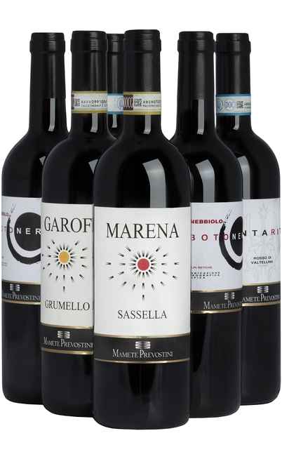 Selezione 6 Vini Valtellina [Mamete Prevostini]