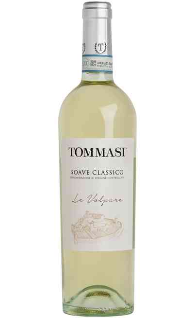 Wines Tommasi : Italian wines online shop 