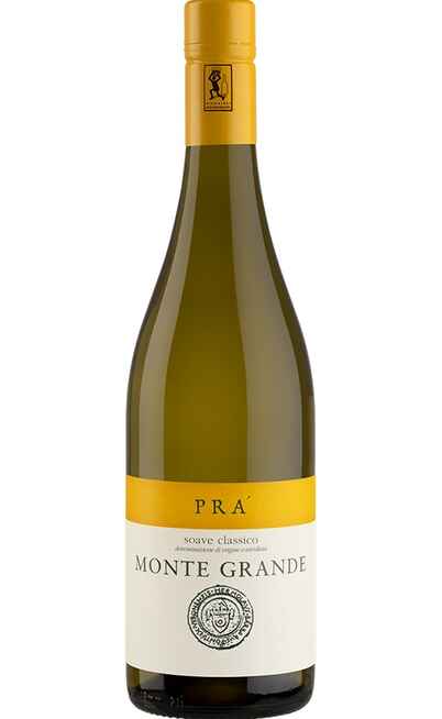 Soave Classico MONTE GRANDE DOC BIO [GRAZIANO PRA]