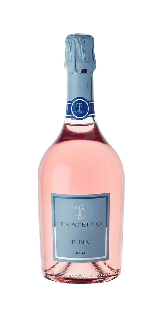 Spumante Metodo Ancestrale Rosè Brut BIO