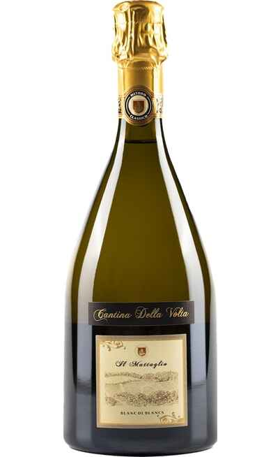 Spumante Metodo Classico Brut Blanc de Blancs IL MATTAGLIO [CANTINA DELLA VOLTA]