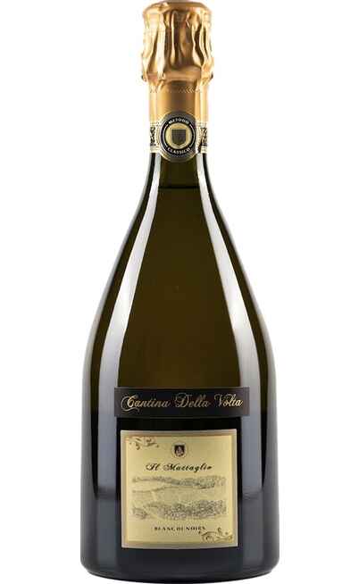 Spumante Metodo Classico Brut Blanc de Noirs IL MATTAGLIO [CANTINA DELLA VOLTA]