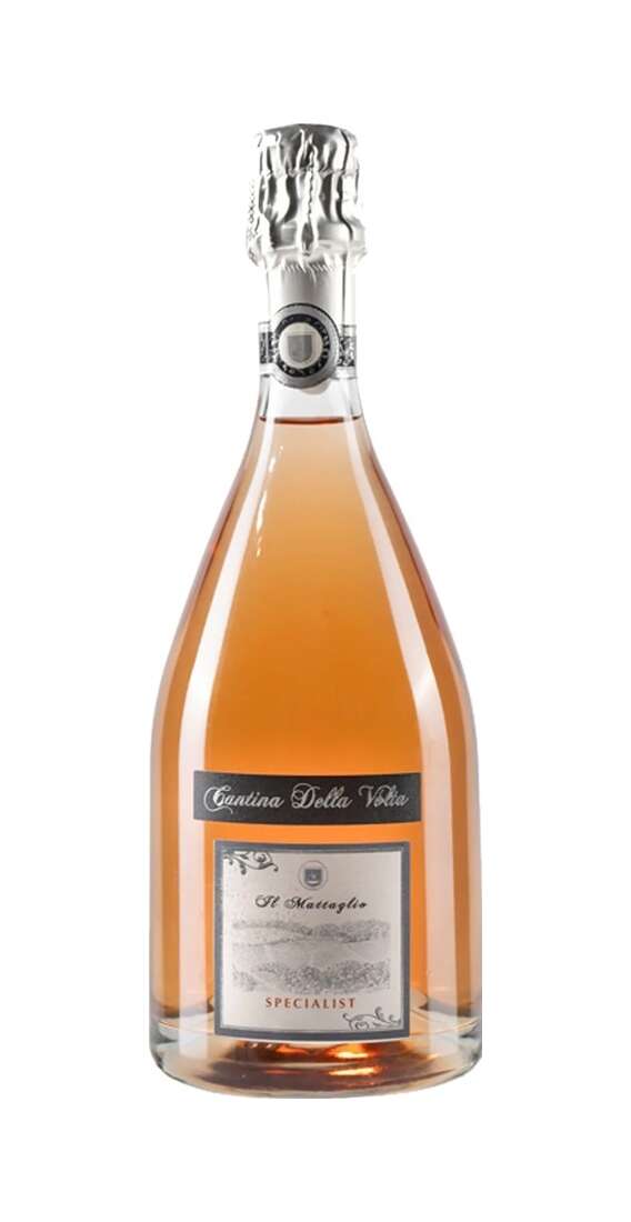 Spumante Metodo Classico Brut Rosé IL MATTAGLIO SPECIALIST