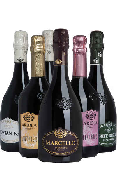 Sélection de 6 vins émiliens [Ariola]