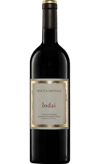 Toscana Rosso LODAI [TENUTA FERTUNA]