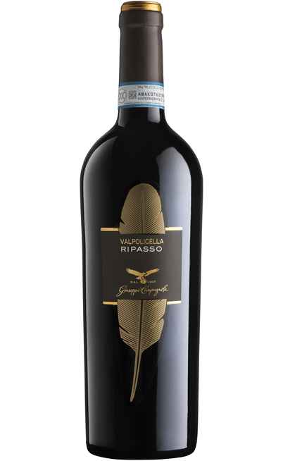 Valpolicella Classico Superiore Ripasso DOC [Campagnola]