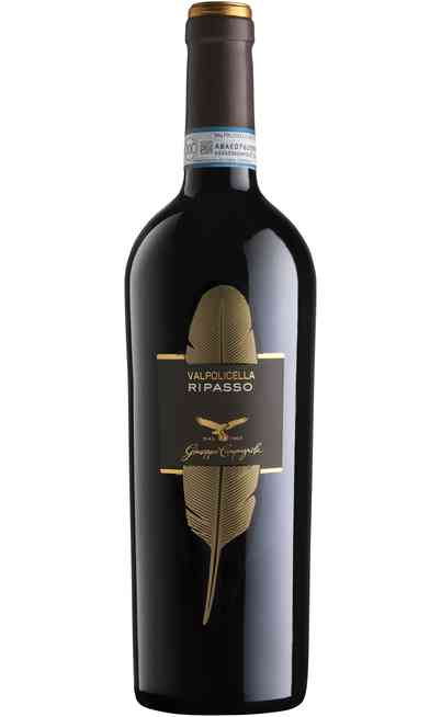 Valpolicella Classico Ripasso wine online. Uritaliawines