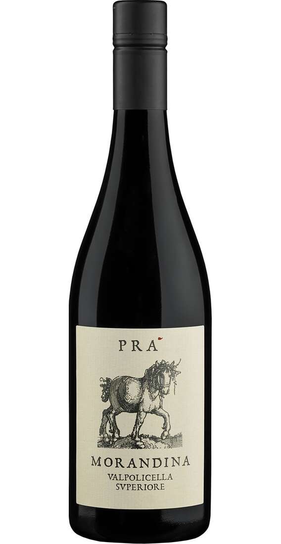 Valpolicella Superiore MORANDINA DOC