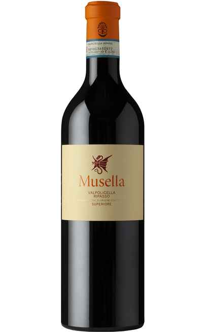 Valpolicella Superiore Ripasso DOC [Musella]