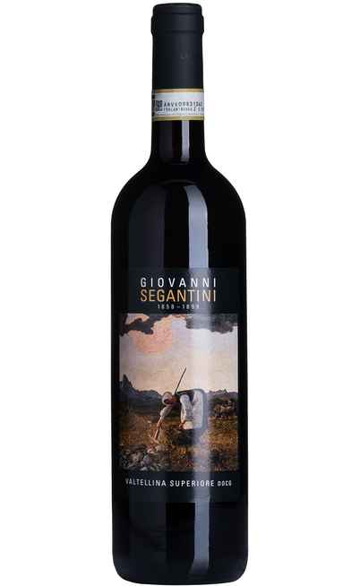 Valtellina Superiore "GIOVANNI SEGANTINI" DOCG  [TRIACCA]