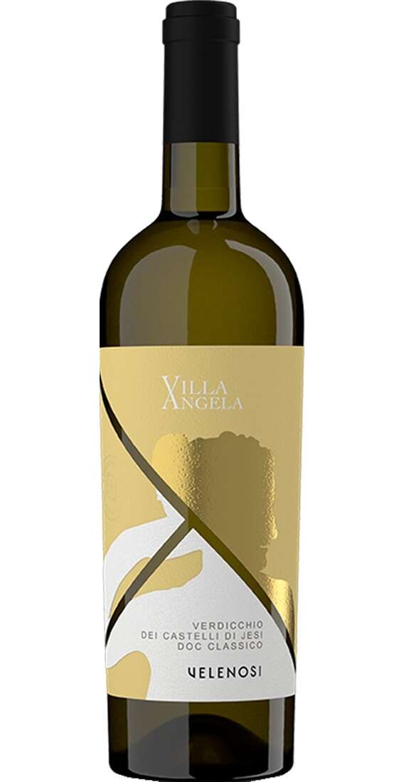 Verdicchio dei Castelli di Jesi Classico VILLA ANGELA DOC