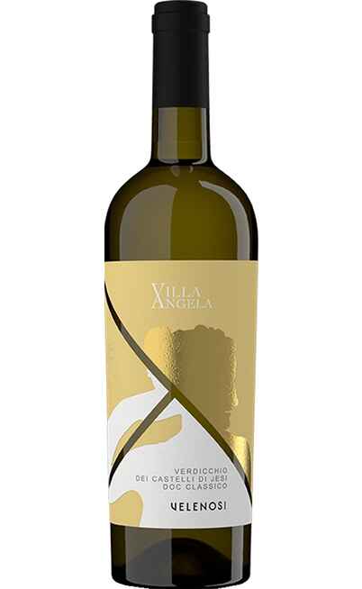 Verdicchio dei Castelli di Jesi Classico VILLA ANGELA DOC [VELENOSI]