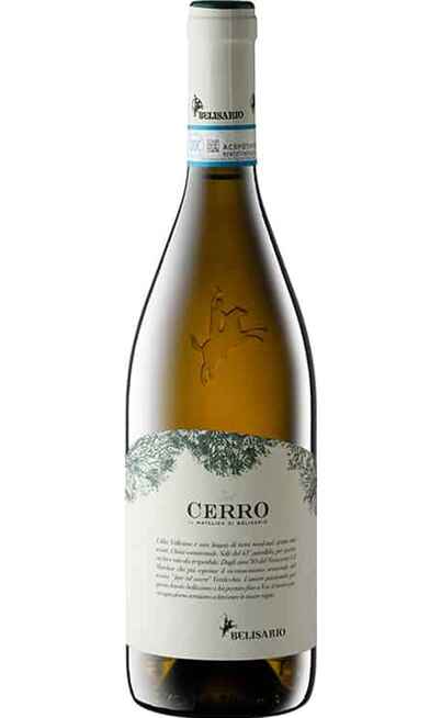Verdicchio di Matelica DEL CERRO DOC [BELISARIO]