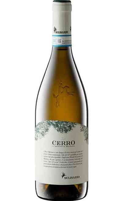 Verdicchio di Matelica DEL CERRO DOC