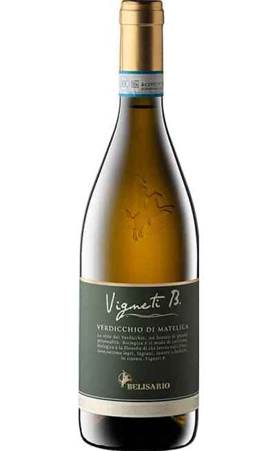Verdicchio di Matelica VIGNETI B. DOC BIO [BELISARIO]
