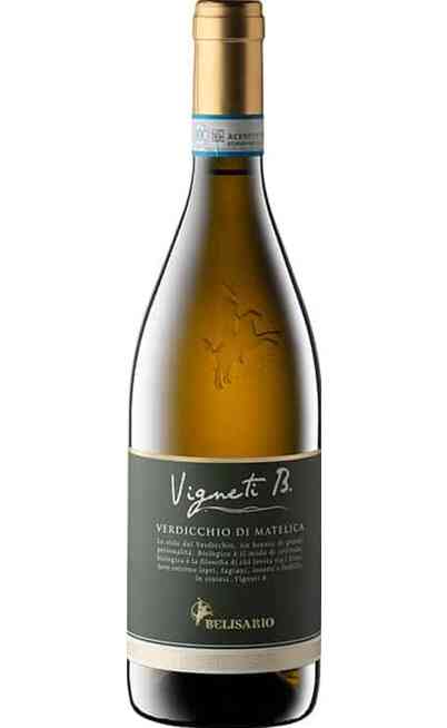 Verdicchio di Matelica VIGNETI B. DOC BIO