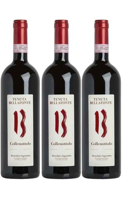 Vertical Montefalco Sagrantino DOCG 2011-2012-2013 [Tenuta Bellafonte]