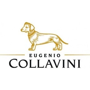 COLLAVINI